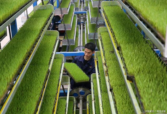 湖南長沙 智能化“育秧工廠”助力春耕提速增效