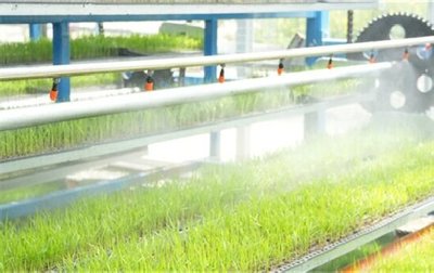 思南 工廠化水稻育秧 盡顯農(nóng)業(yè)“科技范”